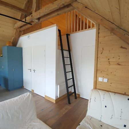 Logement Entre Lac Et Montagne Annecy Esterno foto